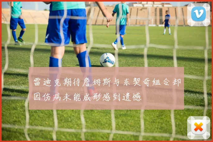 雷迪克期待詹姆斯与东契奇组合却因伤病未能成形感到遗憾